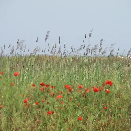 Pensjonat Varnaflats Guest